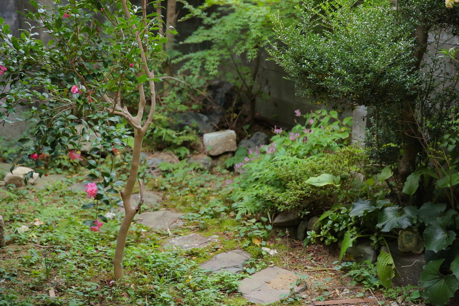 7d3a6304.jpg